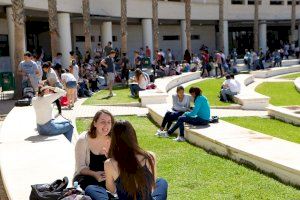 Ple en les universitats valencianes per al pròxim curs: només queden 224 places vacants