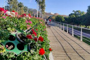 Rita Barberá será alcaldesa honoraria de Valencia y el puente de las flores pasará a llevar su nombre 