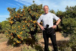 Asarta (VOX) considera “urgente” proteger la naranja de Castellón frente a la competencia desleal de terceros países 