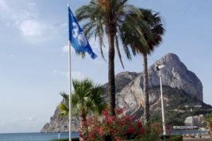 La playa de la Fossa de Calp, 36 años ininterrumpidos de bandera azul