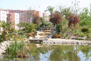 Alicante asume 140.000 metros cuadrados de nuevas zonas verdes y 5.000 árboles para su mantenimiento