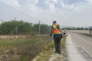 Albatera contrata a 53 trabajadores agrícolas para la limpieza de zonas verdes
