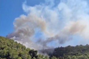 Controlado el incendio que amenazaba el parque natural del Montgó en Dénia