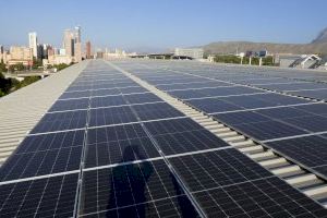 Benidorm acomete la instalación de 548 placas fotovoltaicas para reducir el consumo y las emisiones de CO2 en el Palau d’Esports