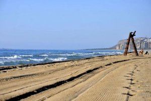 Reabren al baño las playas de Alicante cerradas por el episodio de contaminación