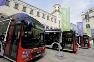 Alicante activa el bus gratuito para jóvenes menores de 31 años y mantiene a mitad de precio el resto