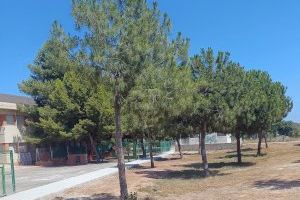 Sagunt millora el CEIP La Pinaeta amb un nou espai verd i d’ombra al pati del col·legi