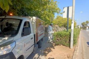 Se llevan a cabo acciones conjuntas para eliminar plagas en Alzira