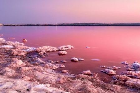 La llacuna més fotografiada de la Comunitat Valenciana: el seu color rosa la fa única i espectacular