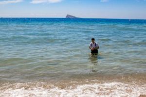 La calidad del agua de las playas de Benidorm, excelente un verano más