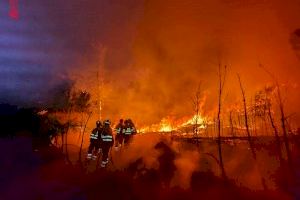 Com actuar davant un incendi forestal: claus per a donar la veu d'alarma