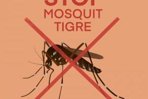 Albal inicia el Plan de vigilancia y control de Mosquito Tigre