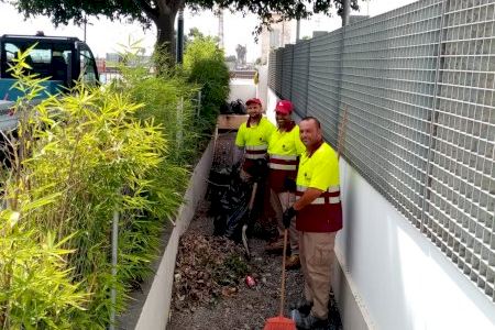 Alaquàs contracta tres persones per a la neteja i manteniment de les séquies i l'entorn de l'horta històrica municipal