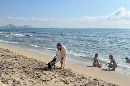 Food truck, gandules i pipi can: Així és la primera ‘Doggy Beach’ de la Comunitat Valenciana