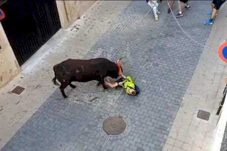 VÍDEO | Gran tensió en el ‘bou en corda’ de Xiva: Un jove és envestit després de quedar atrapat amb la corda