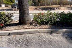 El Partido Popular pide soluciones para el asfalto en mal estado en Ronda de l’Anella