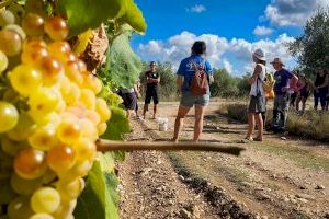Les visites guiades de Turisme Vinaròs aconsegueixen un gran èxit de públic