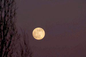 Arriba la segona superluna d'agost: Quan podrem gaudir de la lluna blava?