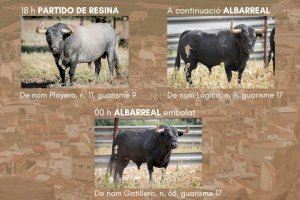 L'Ajuntament d'Almenara oferirà cinc bous "cerrils" en les Festes Patronals