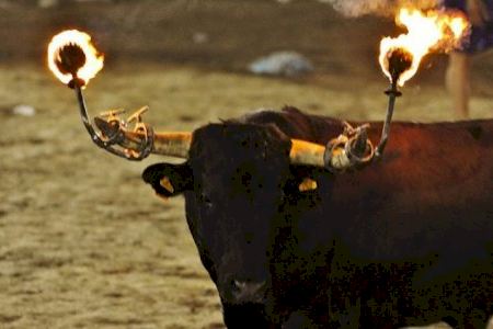 Un poble alacantí suprimeix de les seues festes els bous embolats perquè "les tradicions canvien"