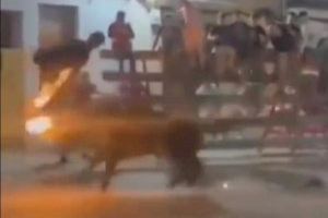 VÍDEO | Dura agafada en els ‘bous al carrer’ d'Alcàsser