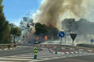 La Vuelta llega a Valencia sin problemas:  los bomberos han controlado el incendio de El Saler