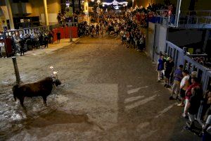GALERIA | Vila-real apuesta por los bous al carrer en las fiestas de la Mare de Déu de Gràcia con dos toros embolados