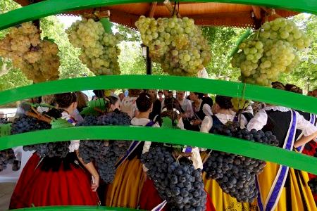 El LXV Concurso de Uvas de la Feria de Utiel selecciona las mejores uvas de bobal, tempranillo y macabeo del municipio