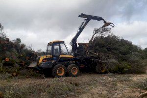 El Ayuntamiento de Alcoy inicia  los trabajos correpondientes  el cortafuegos del Estepar