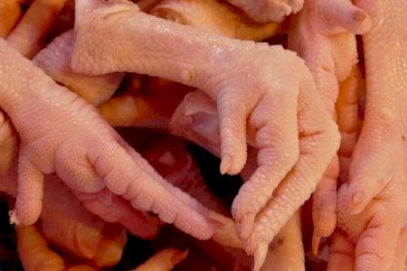 Jutgen a un empresari d'Alacant per estafa en la venda de 189 tones de potes de pollastre al mercat asiàtic