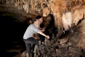 Descubren en un pueblo de Valencia el mayor yacimiento paleolítico de la Península Ibérica desde las cuevas de Altamira
