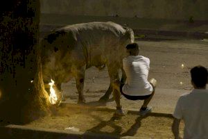 VIDEO | Denuncian el embolado de un toro en estado de shock en las fiestas de Puçol