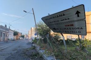 Què és l'esclafit humit que ha afectat la Plana Baixa?
