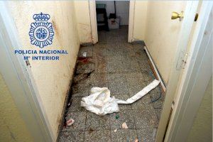 Macabro suceso compartido en redes sociales: Una octogenaria y su hijo torturan hasta la muerte a un hombre en Alicante