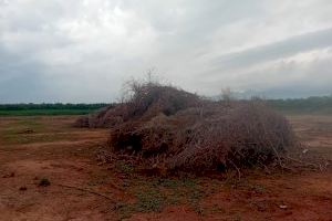 Els agricultors demanen a la Generalitat poder cremar  les restes agrícoles a causa de les condicions meteorològiques propícies