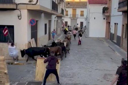 VIDEO | Susto en los 'bous al carrer' de Massamagrell al caer un hombre desde una señal encima de los toros