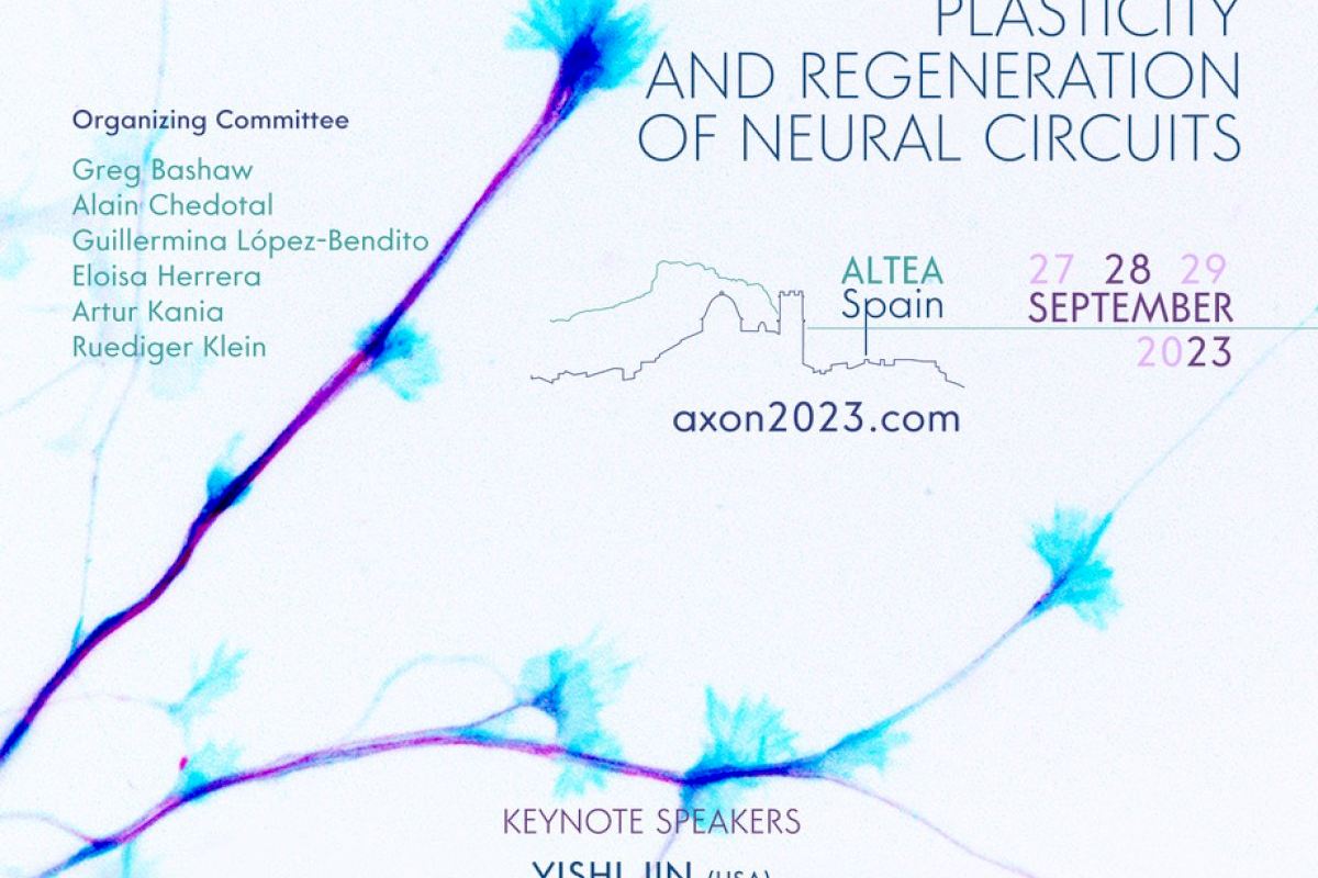 Investigadoras del Instituto de Neurociencias UMH-CSIC organizan en Altea la cuarta edición del congreso AXON