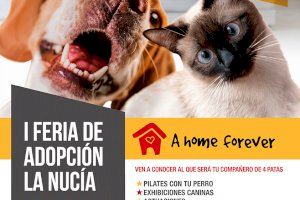 Este domingo se celebrará la I Feria de Adopción Animal de La Nucía