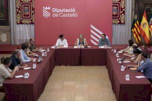 La Diputació de Castelló al·lega contra l'autorització de construcció de la megaplanta fotovoltaica Magda