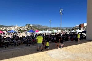 Más de 2000 personas en la I Feria de Adopción Animal de La Nucía