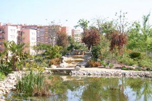 Alicante refuerza en un millón de euros el contrato para mantener nuevas zonas verdes en la ciudad
