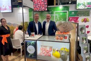 El Ayuntamiento de Elche muestra su apoyo a las firmas ilicitanas en la feria Fruit Attraction
