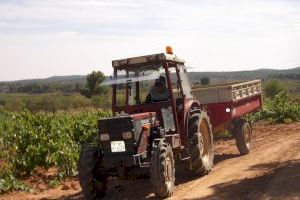La Unió exigeix a conselleria ajudes directes a l'olivar i les vinyes davant la disminució d'ingressos que perceben els agricultors