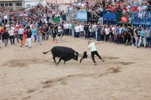 El impacto económico de los bous al carrer: por cada euro invertido se generan 8,10 en la Comunitat Valenciana