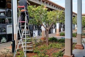 El Ayuntamiento de La Vilavella ultima los trabajos de mejora en el cementerio de cara a Todos los Santos
