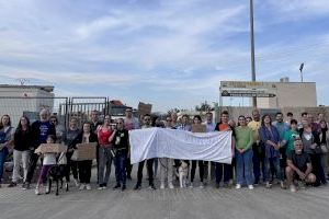 El PP de Paterna reclama que los voluntarios puedan volver al refugio municipal de animales