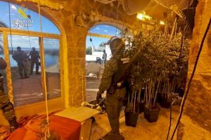 Desmantelada una plantación de marihuana en un exclusivo chalet de Calpe