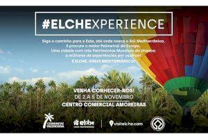 Turismo promocionará el Palmeral de Elche y su patrimonio cultural en Lisboa este fin de semana
