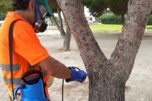 Catarroja inicia los trabajos para prevenir la procesionaria del pino