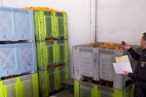 Aumenta la vigilancia de los campos valencianos para prevenir robos en la campaña citrícola